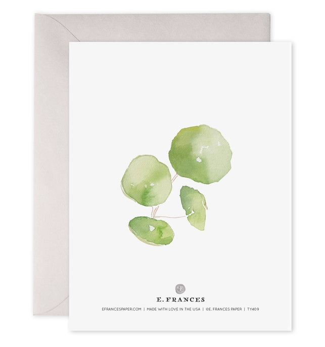 Pancake Plant Thank You Boxed Notecards