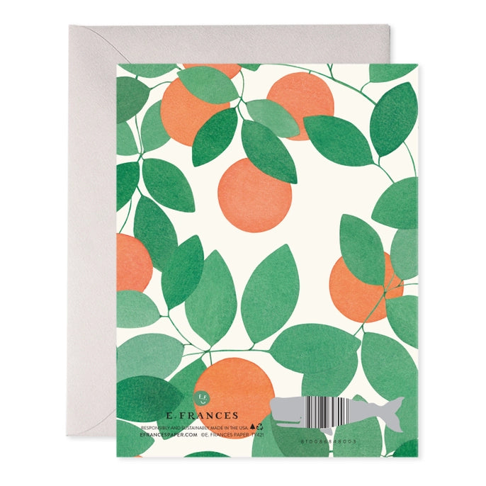 Orange Grove Thank You Boxed Notecards