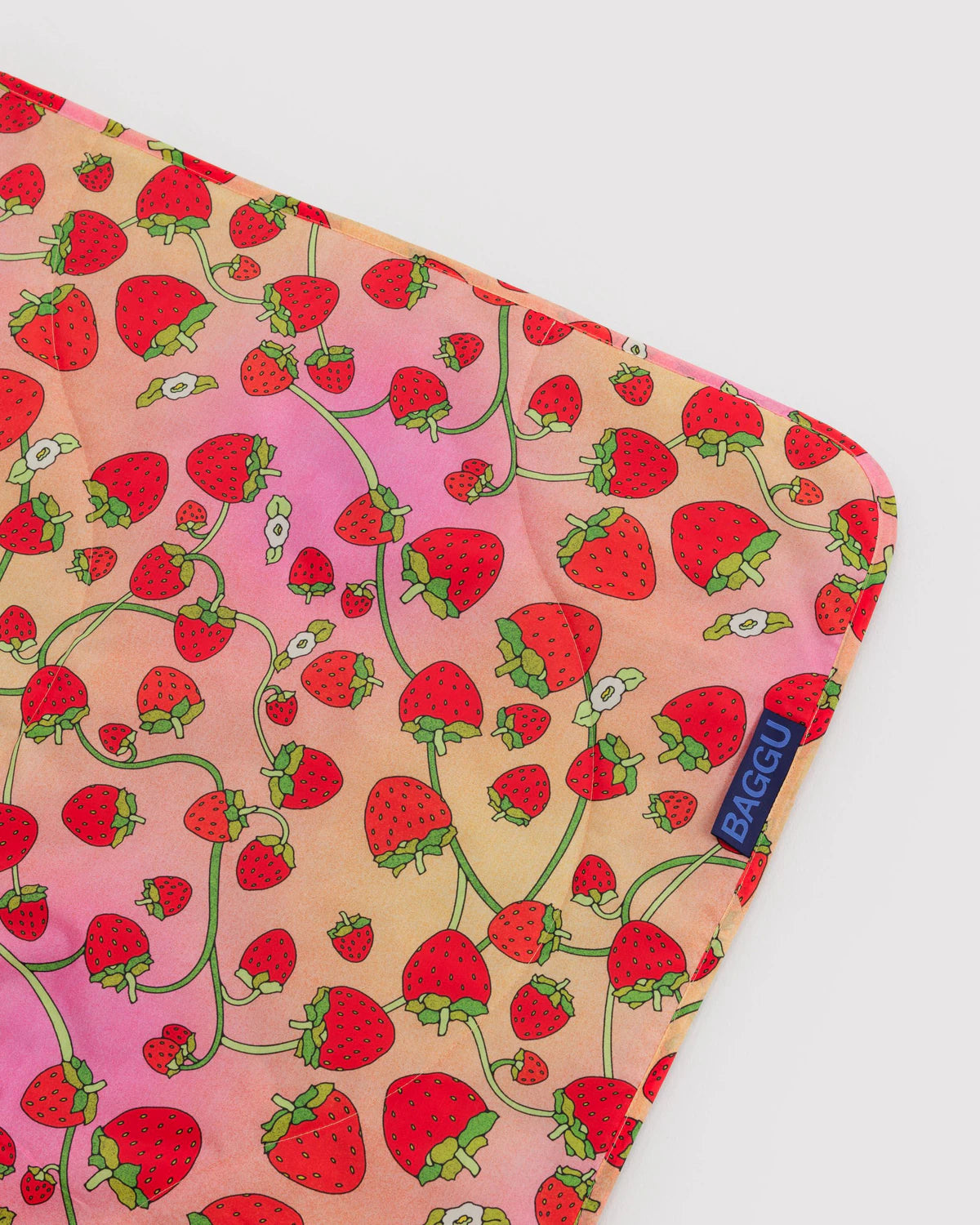 Strawberry Blossom Baggu Puffy Picnic Blanket