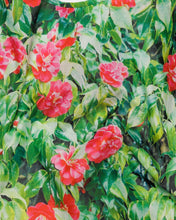 Load image into Gallery viewer, Camellia Flowers Baggu Reusable Bag