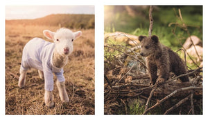This Book Is Literally Just Pictures of Tiny Animals That Will Make You Smile