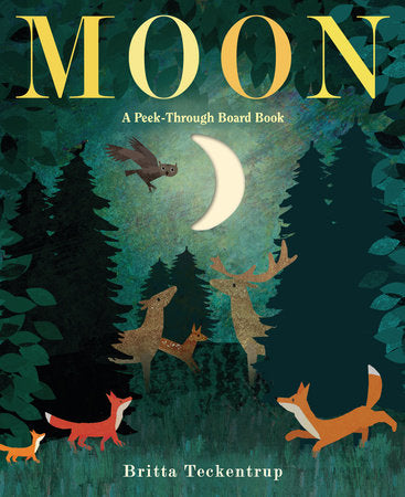 Moon, A Peek Through Board Book
