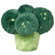 Load image into Gallery viewer, Broccoli Mini Squishable