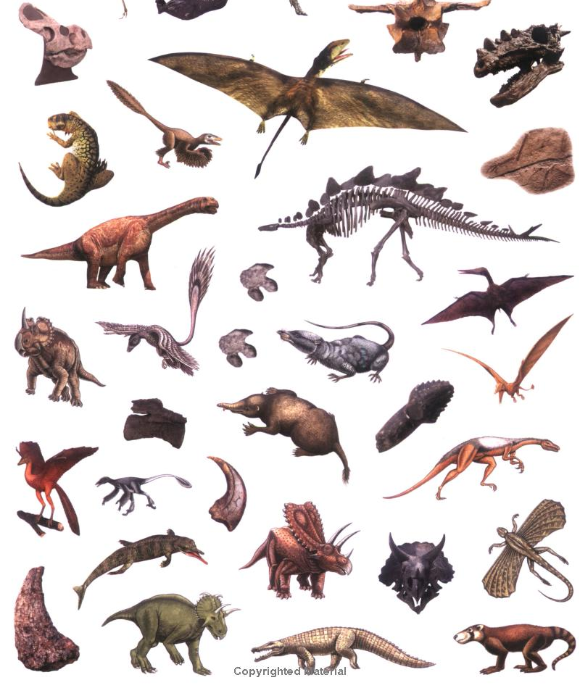 Dinosaurs Sticker Encyclopedia