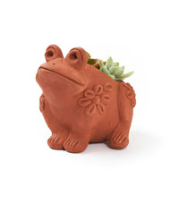 Load image into Gallery viewer, Frog Rakshana Terracotta Planter
