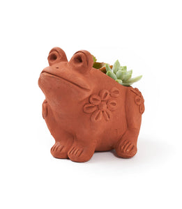 Frog Rakshana Terracotta Planter