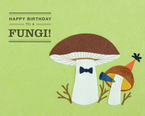 Happy Birthday to a Fungi Card by Good Paper at local Fairmount shop Ali's Wagon in Philadelphia, Pennsylvania