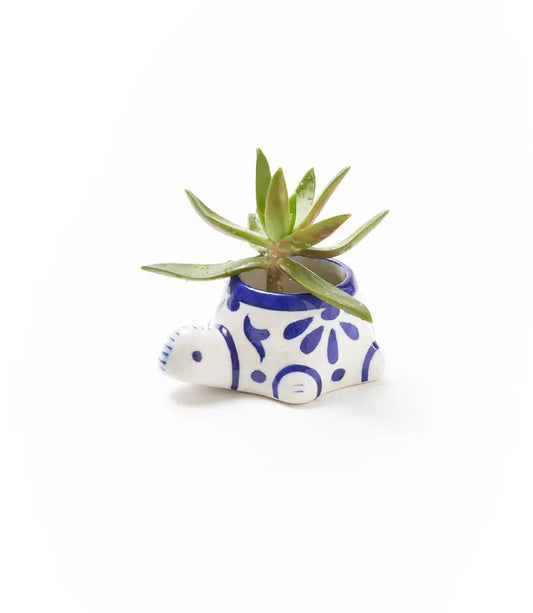 Blue & White Baby Turtle Lalita Planter