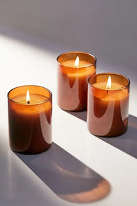 Reef Candle