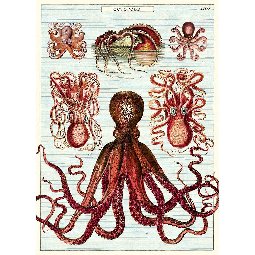 Octopod Decorative Paper