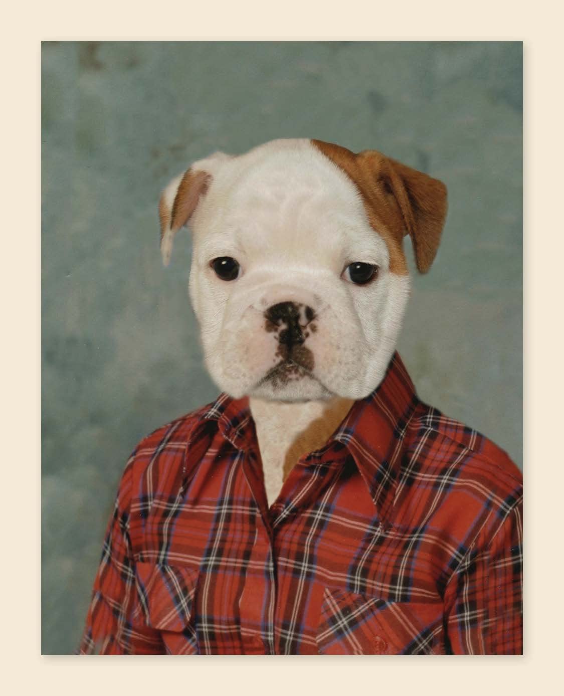 Picture Day Notecards - Ali's Wagon
