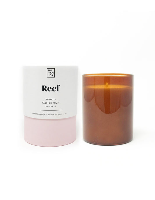 Reef Candle