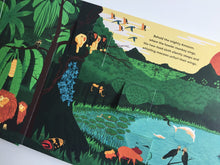 Load image into Gallery viewer, Walk this Wild World Lift the Flap Book