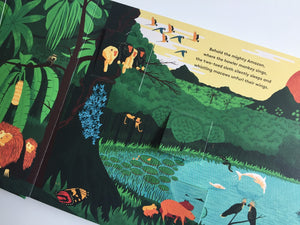 Walk this Wild World Lift the Flap Book